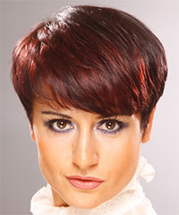 Formal Short Straight hairstyle